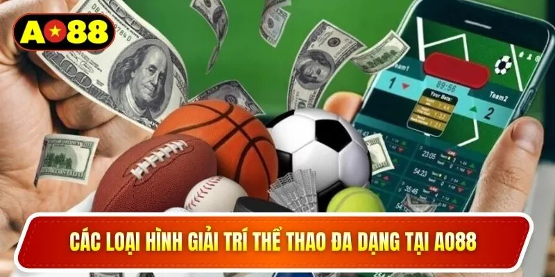 Các loại hình giải trí thể thao đa dạng tại ao88