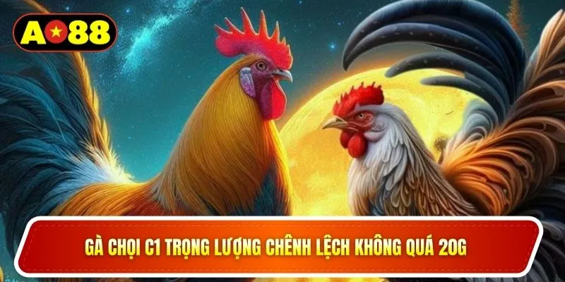 Gà chọi C1 trọng lượng chênh lệch không quá 20g 
