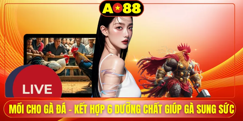 Mồi Cho Gà Đá - Kết Hợp 6 Dưỡng Chất Giúp Gà Sung Sức
