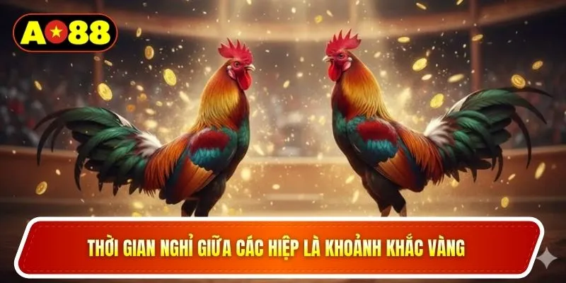 Thời gian nghỉ giữa các hiệp là khoảnh khắc vàng 